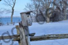 Birdhouse Sandbanks West Pt Winter